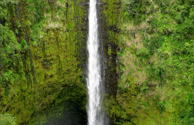 Big Island of Hawaii sightseeing day tour from Kona - Image 5